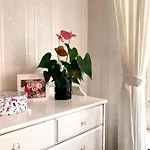 Basilica Rose